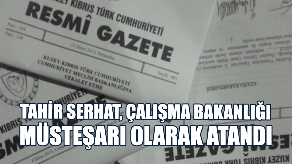 Tahir Serhat, Çalışma Bakanlığı Müsteşarı Olarak Atandı