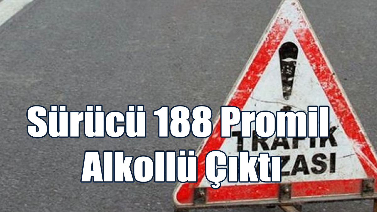 Alkollü Sürücü Kaza Yaptı