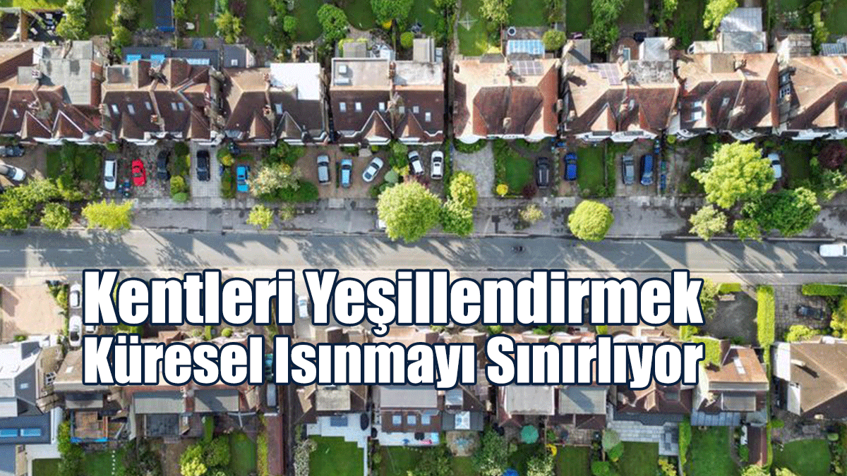 Kentleri Yeşillendirmek Küresel Isınmayı Sınırlıyor