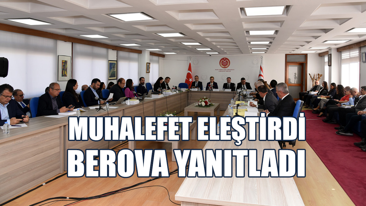 2025 Bütçe Yasa Tasarısı Komitede Görüşülüyor…