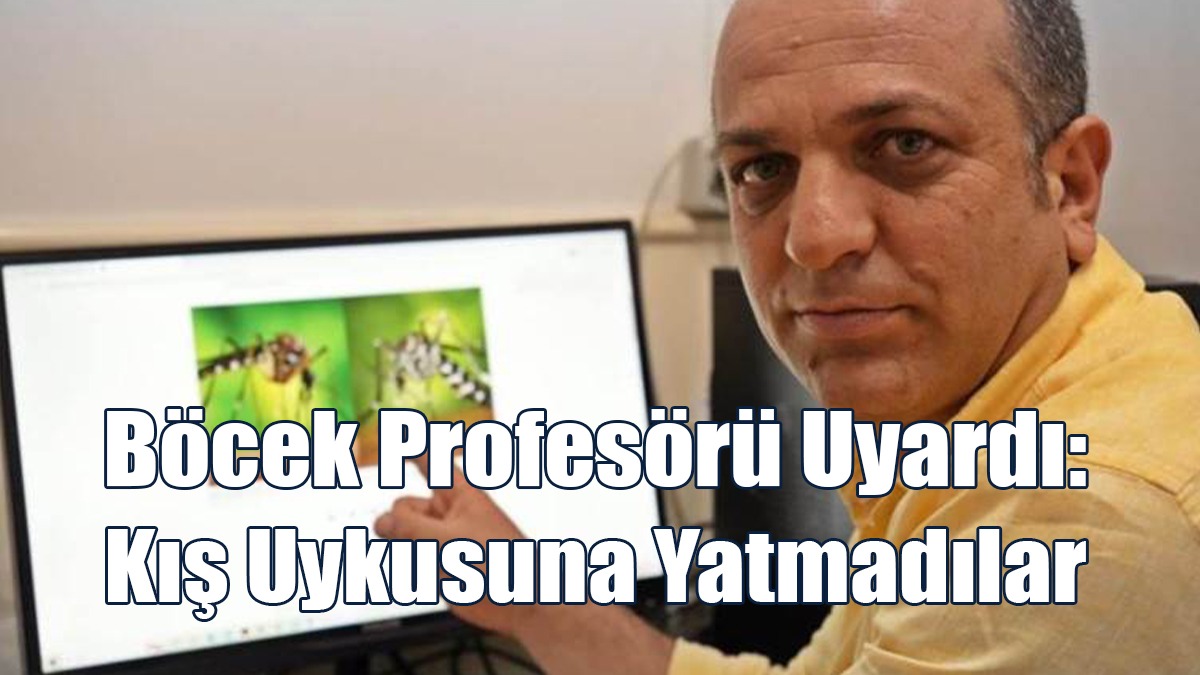 Kan Emmeye Devam Ediyorlar