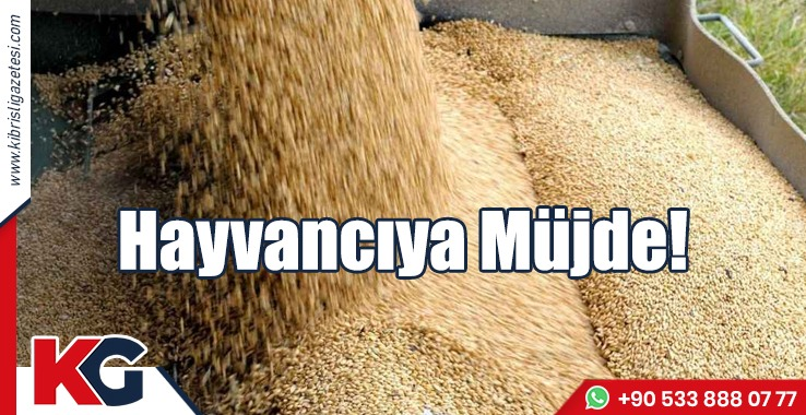 Hayvancıya Müjde!