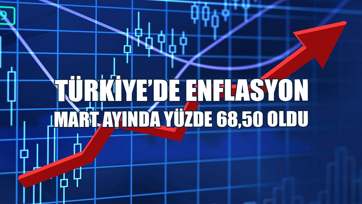 Türkiye’de Enflasyon Mart Ayında Yüzde 68,50 Oldu