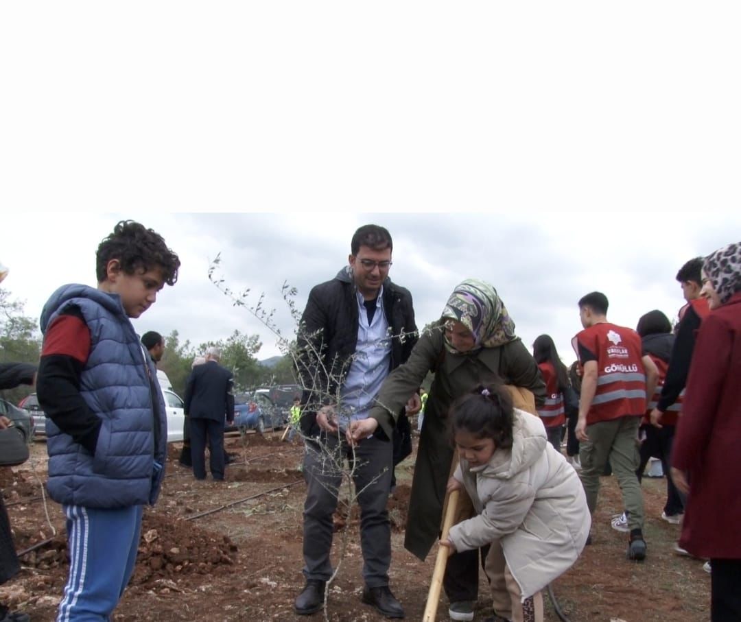 Vakıflar’dan “100 Bin Zeytin Fidanı Dikim” projesi…