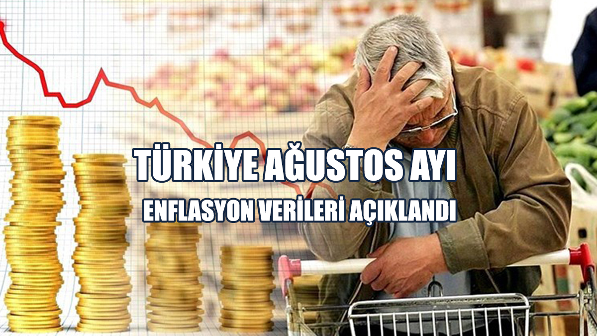 Türkiye Ağustos Ayı Enflasyon Verileri Açıklandı