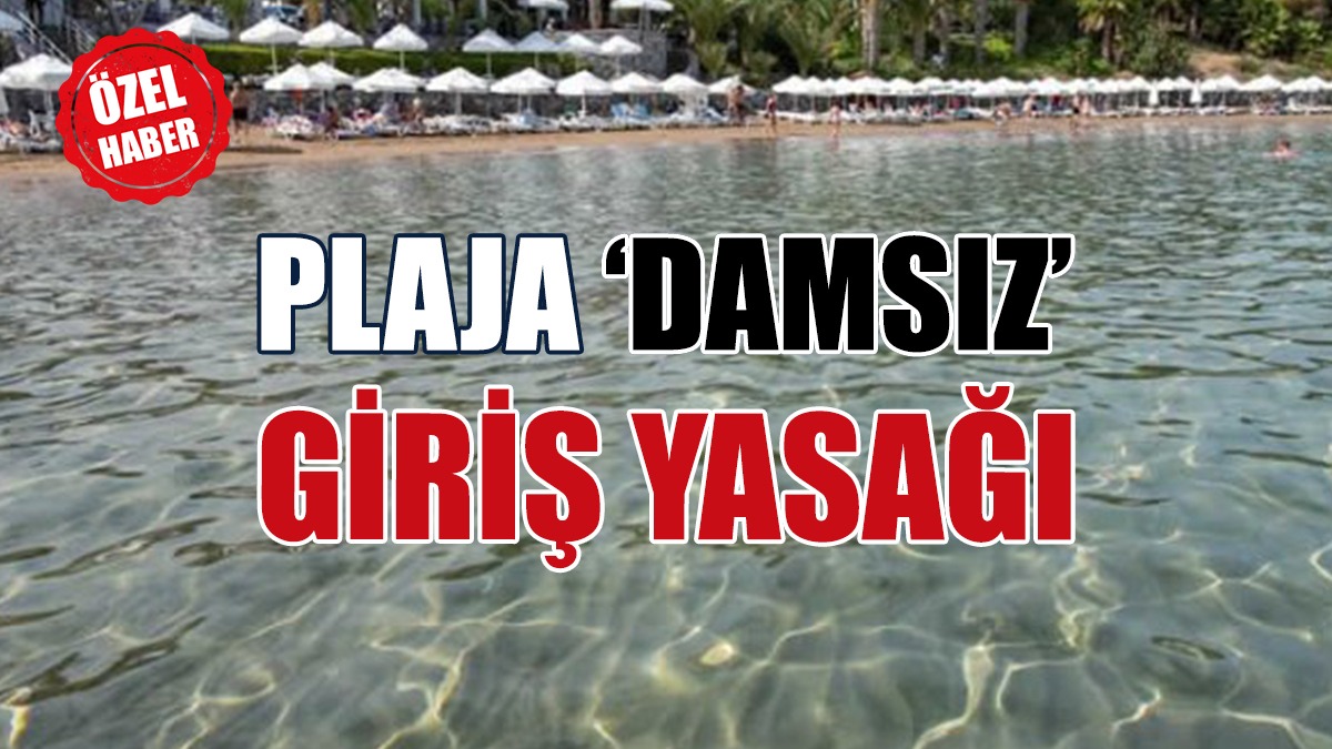 Hem Ücretli, Hem de Cinsiyetçi