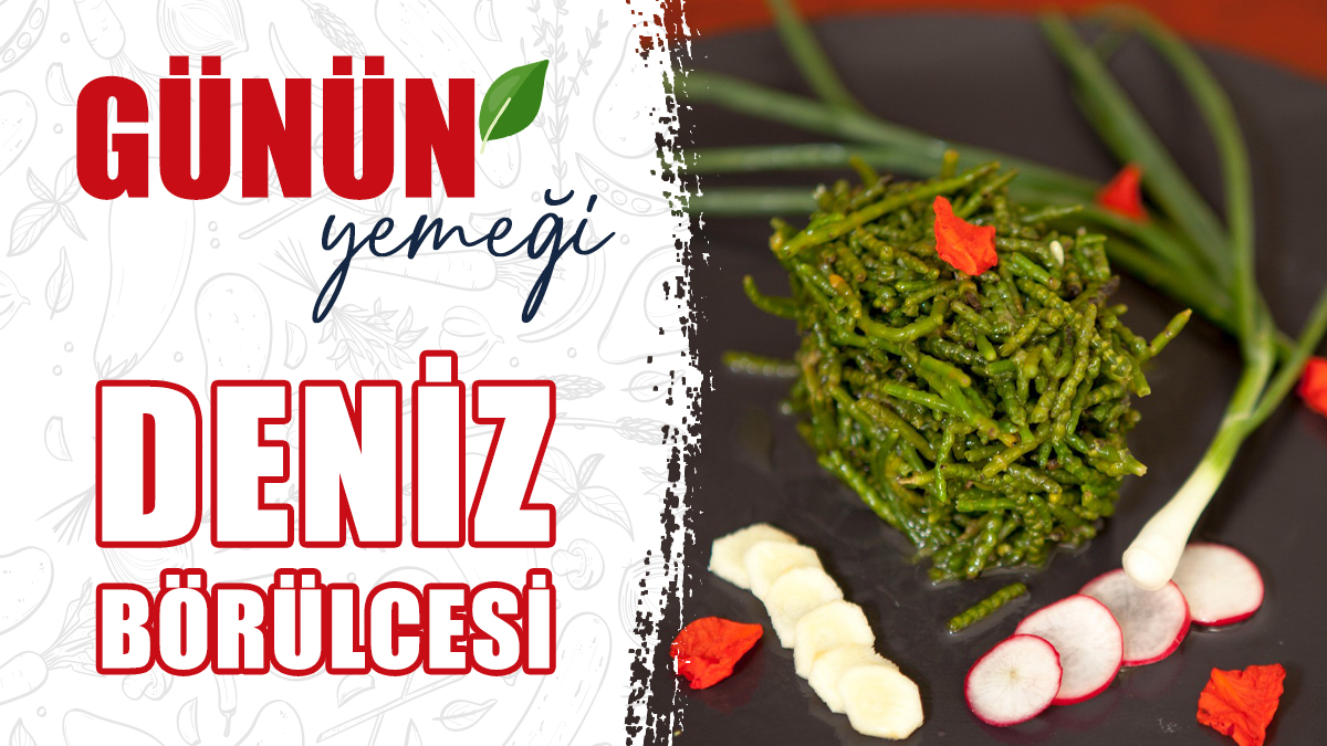 Deniz Börülcesi