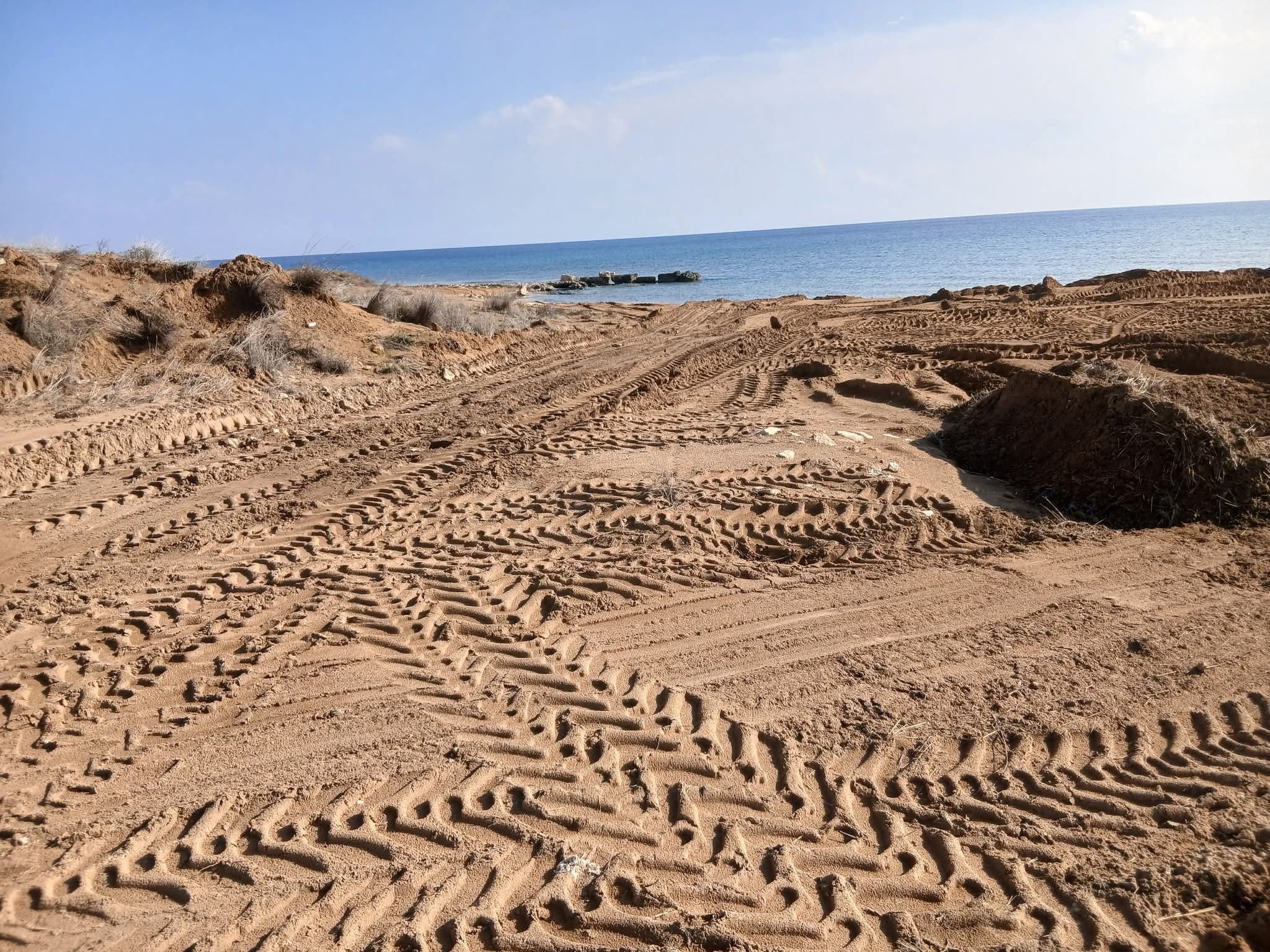 Kumyalı’da doğa katliamı: "Oazalos Lagünü” talan edildi