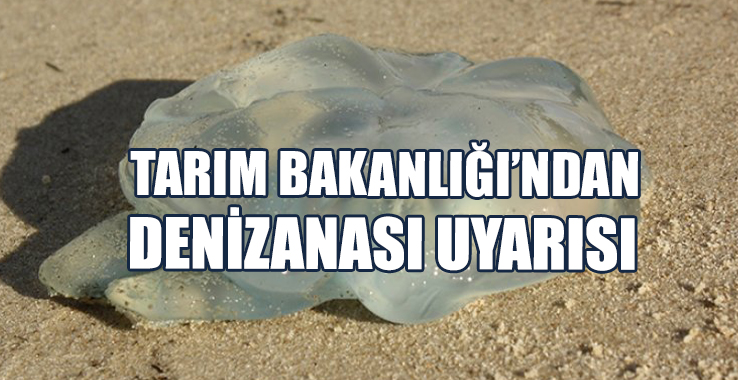 Tarım Bakanlığı’ndan Denizanası Uyarısı
