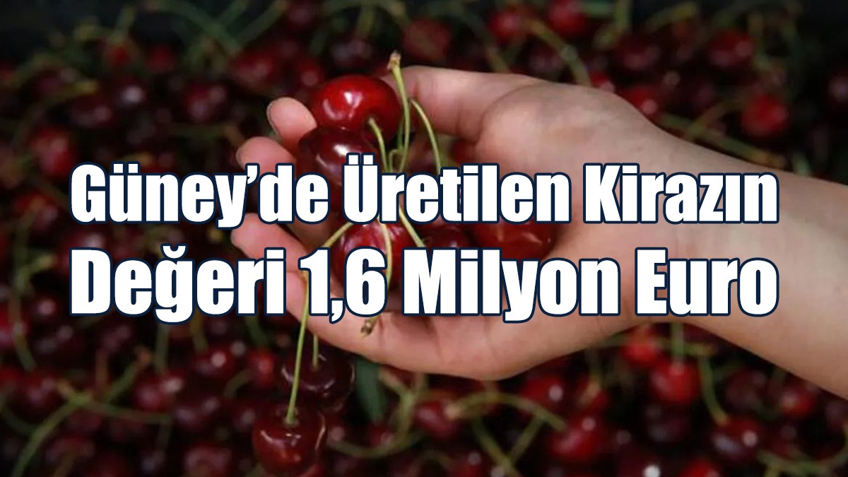 Güney’de Üretilen Kirazın Değeri 1,6 Milyon Euro