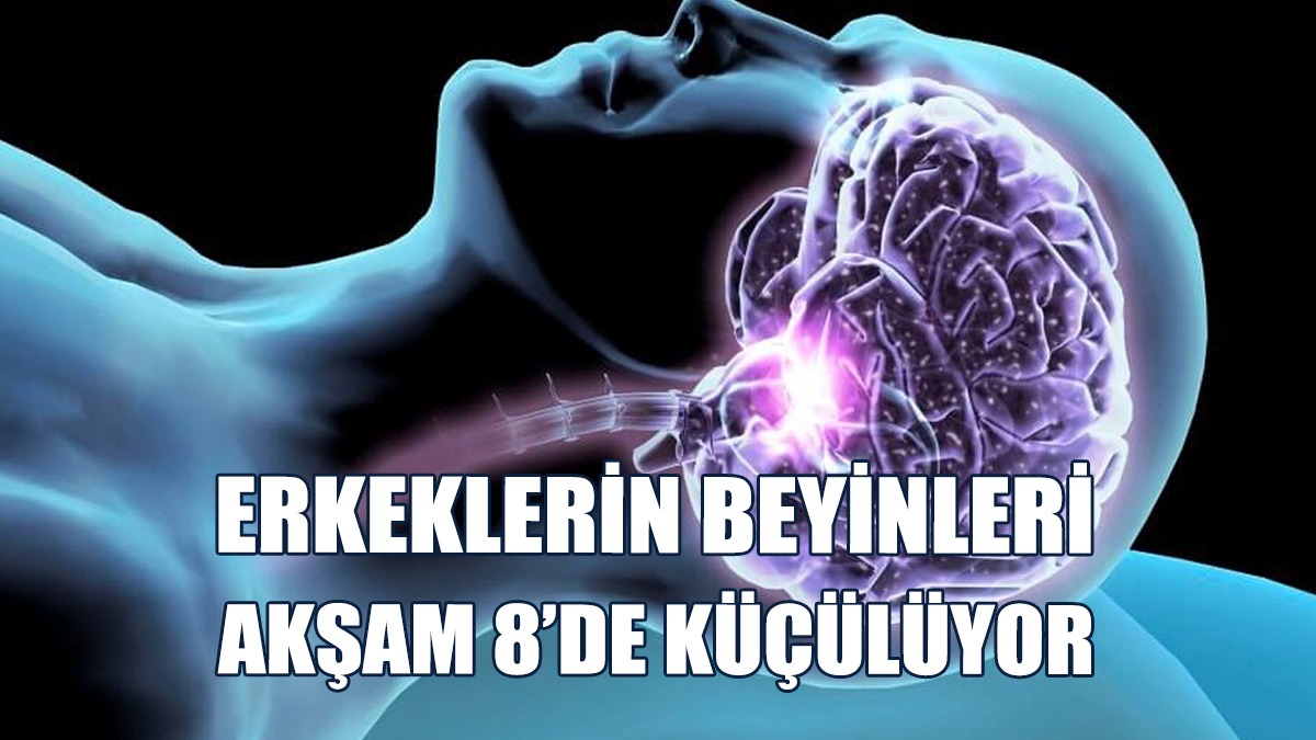 Erkeklerin Beyinleri Akşam 8’de Küçülüyor