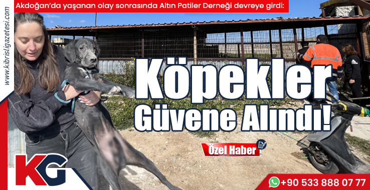 Köpekler Güvene Alındı!