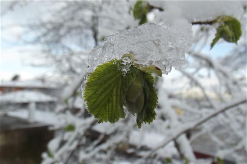 Meteoroloji’den don uyarısı…