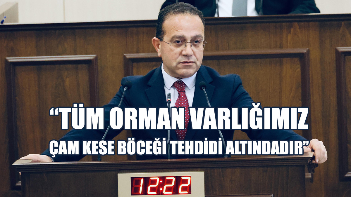 Şahali, Çam Kese Böceklerine İlişkin Mücadeleyi Eleştirdi