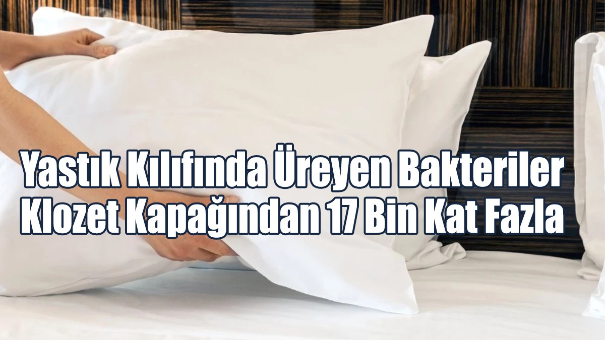 Yastık Kılıfında Klozet Kapağından 17 Bin Kat Fazla Bakteri Birikiyor!