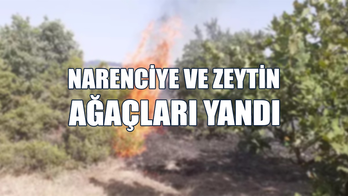 Aydınköy'de Yangın