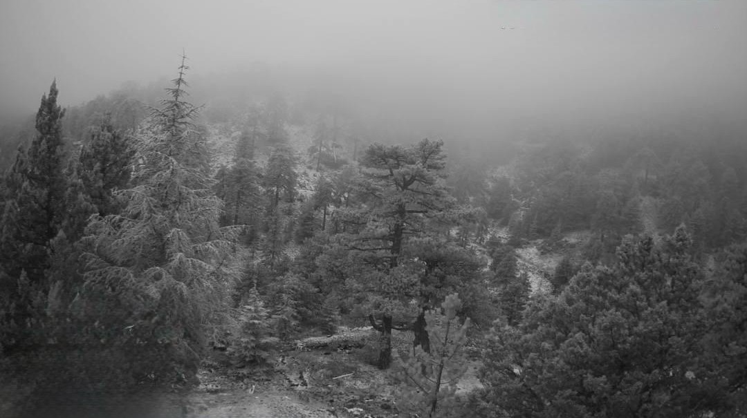 Trodos dağlarına ilk kar düştü