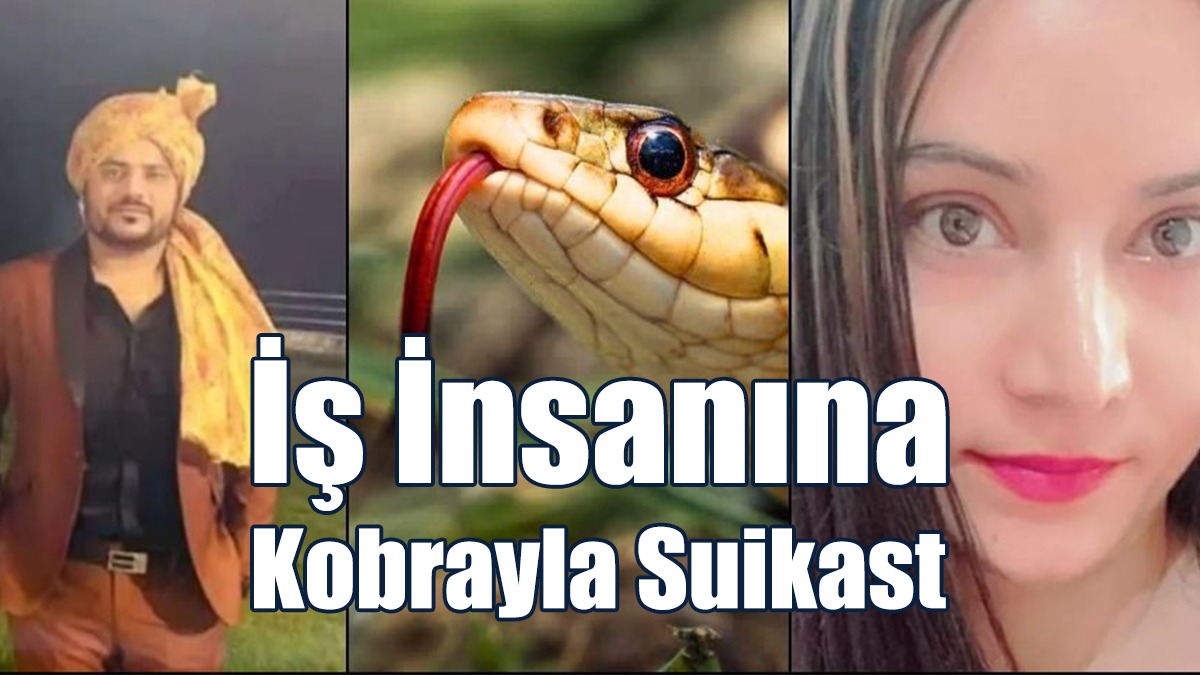 İş İnsanını Kobra İle Öldürdüler