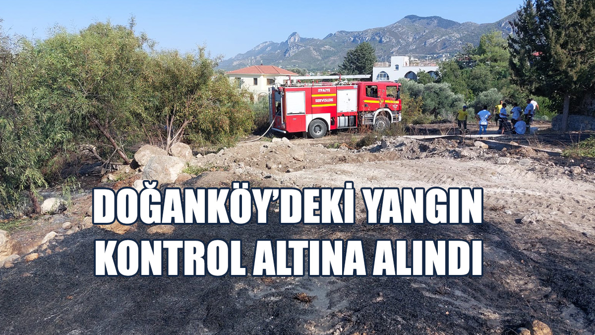 Doğanköy'de Yangın