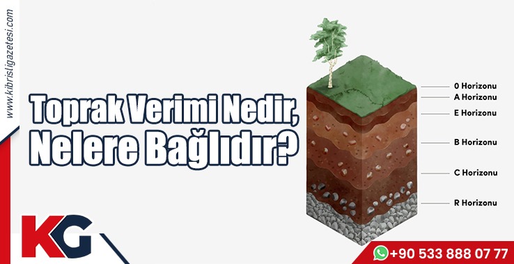 Toprak Verimi Nedir, Nelere Bağlıdır?