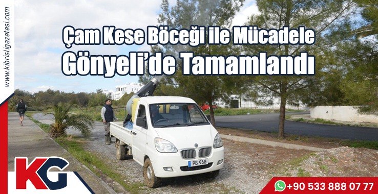 Yüzlerce Ağaç İlaçlandı