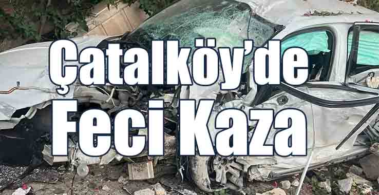 Çatalköy’de Feci Kaza