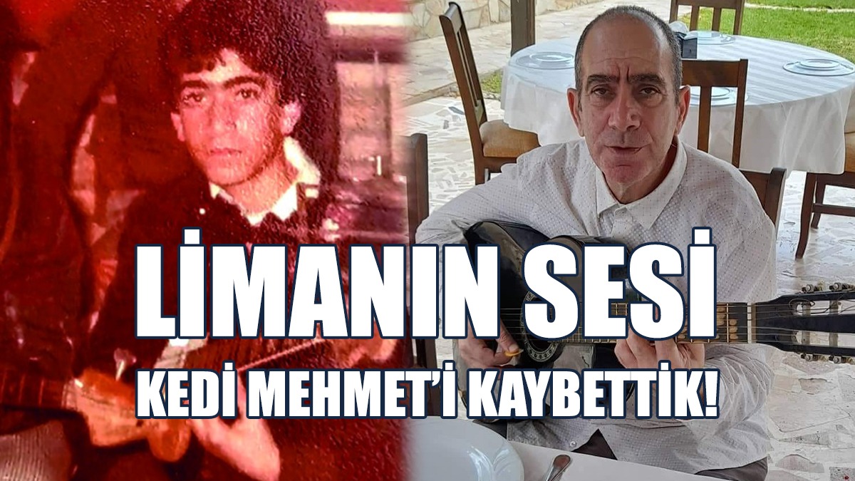 Limanın Sesi Kedi Mehmet’i Kaybettik!