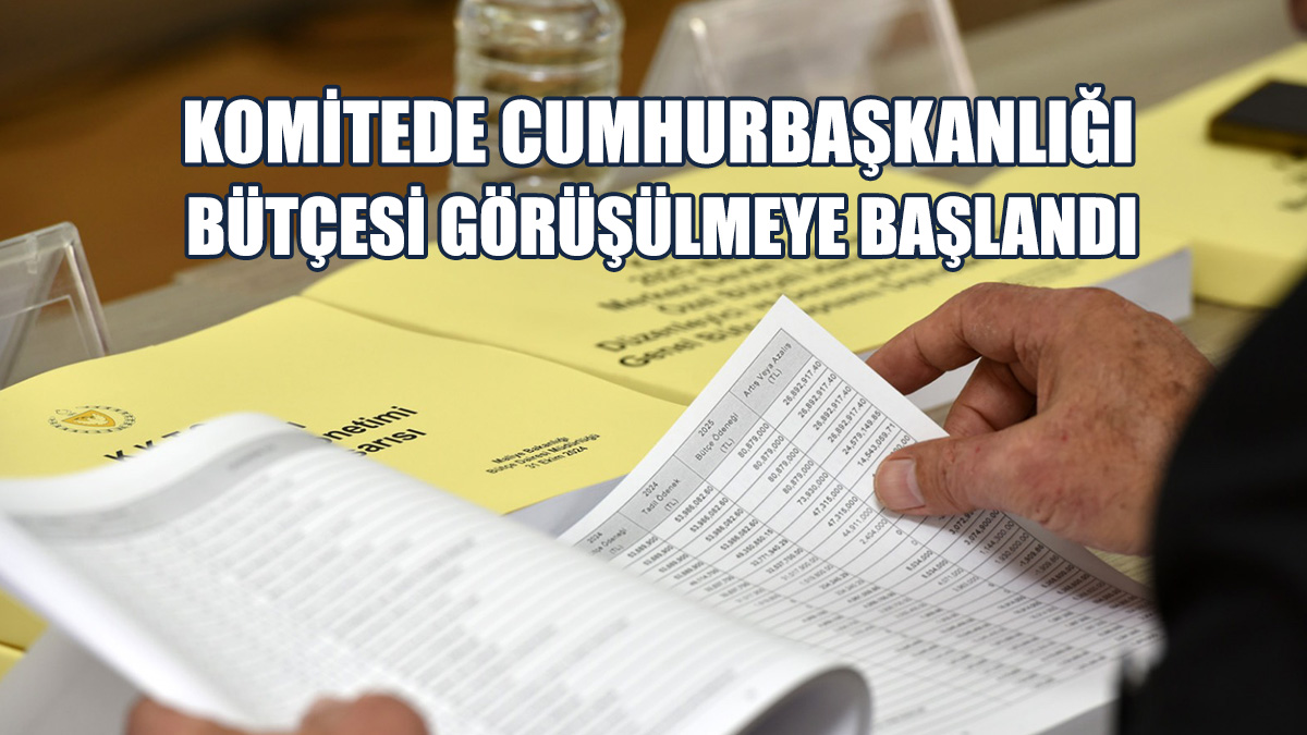 Komitede Cumhurbaşkanlığı Bütçesi Görüşülmeye Başlandı