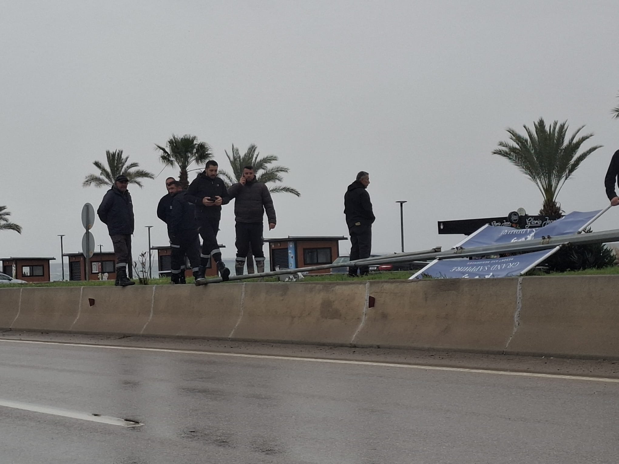 WhatsApp Image 2026-02-18 at 09.13.06.jpeg