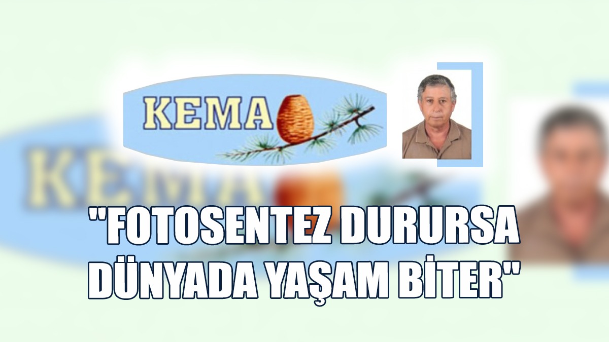 "Çölleşme İle Mücadelede Tek Bir Silah Ağaçtır, Ağaçlandırmadır"
