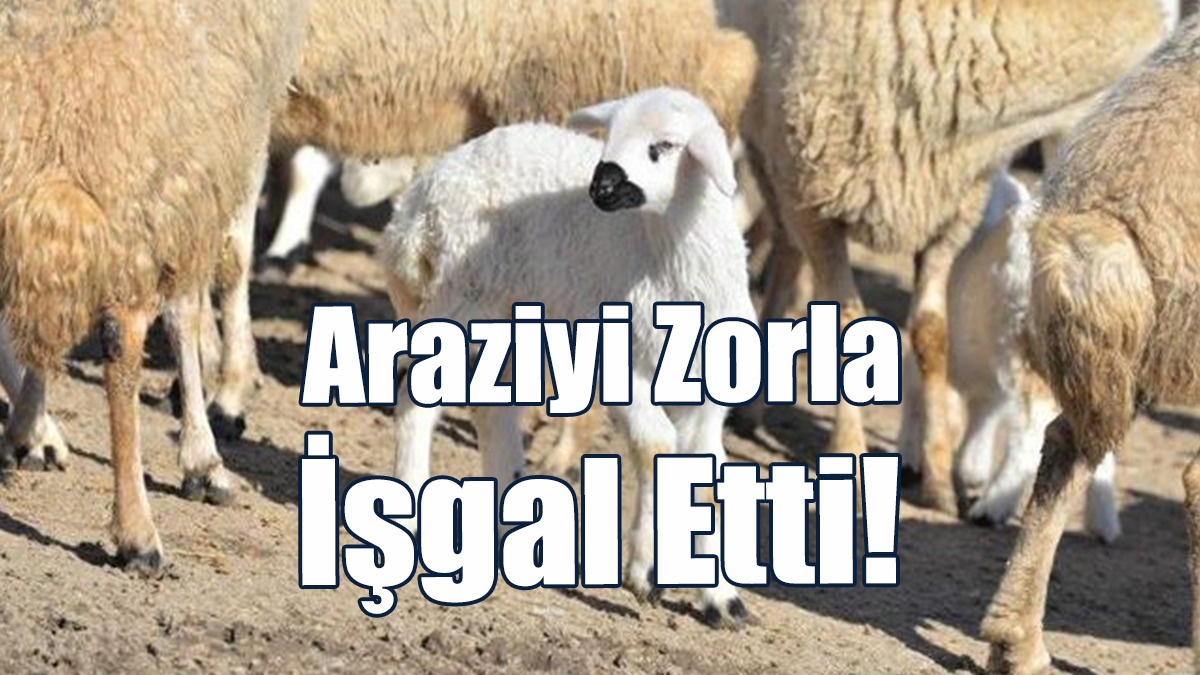Araziyi Zorla İşgal Etti!