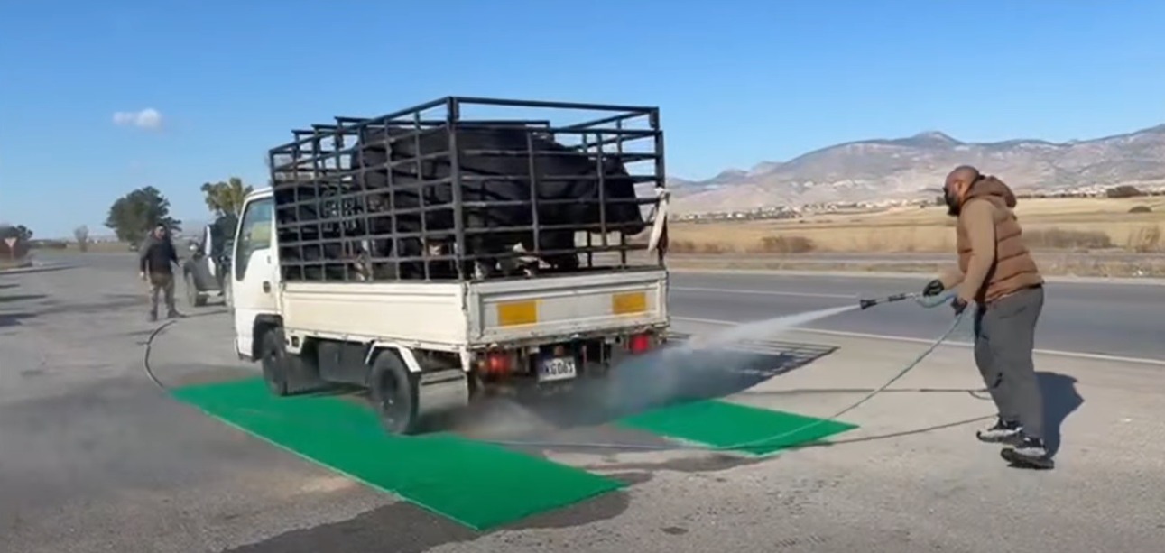 Şap tedbirleri: Değirmenlik’te 4 noktaya dezenfeksiyon halısı serildi