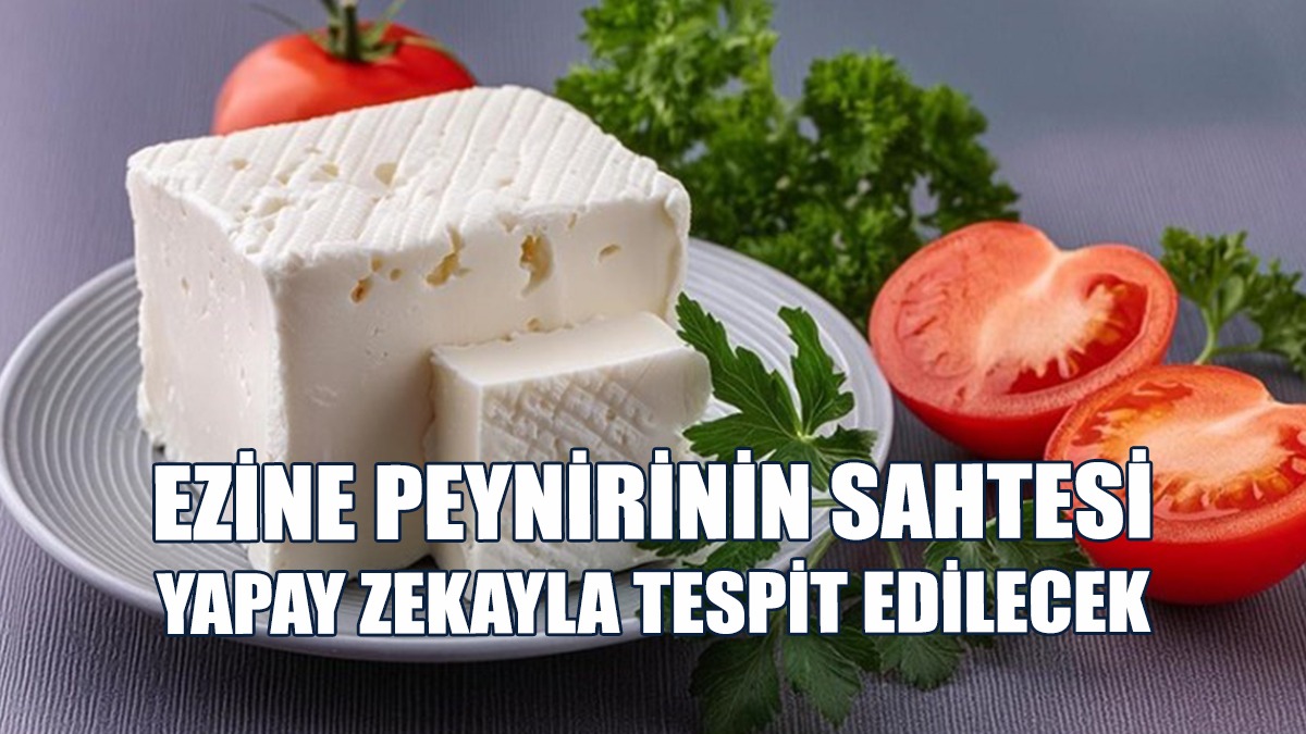 Ezine Peynirinin Sahtesi Yapay Zekayla Tespit Edilecek