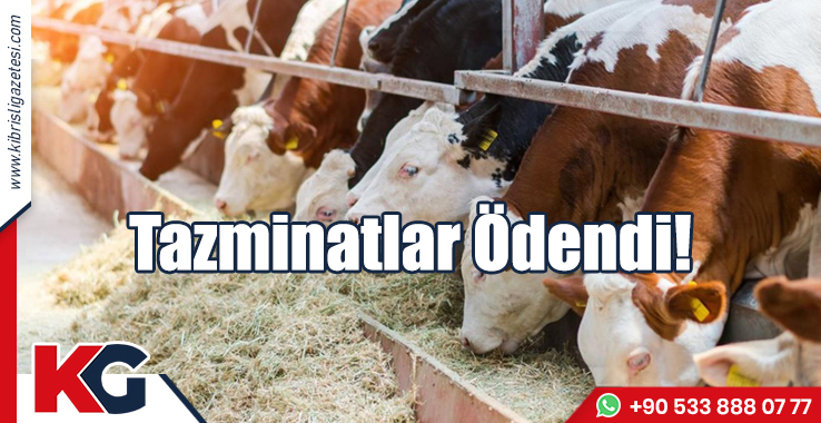 Tazminatlar Ödendi!