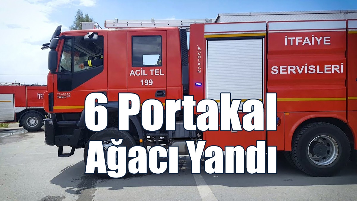 6 Portakal Ağacı Yandı