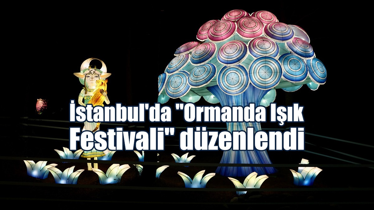 İstanbul'da "Ormanda Işık Festivali" Düzenlendi