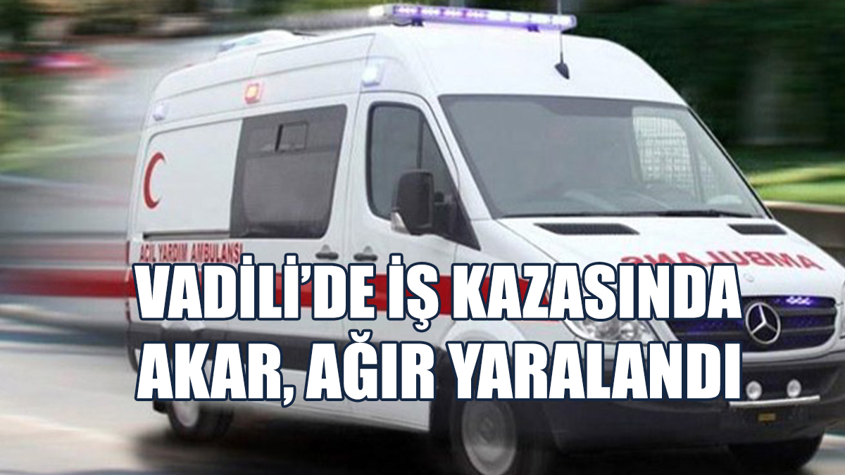 Başı ve Göğsü Araçla Kolların Arasına Sıkıştı