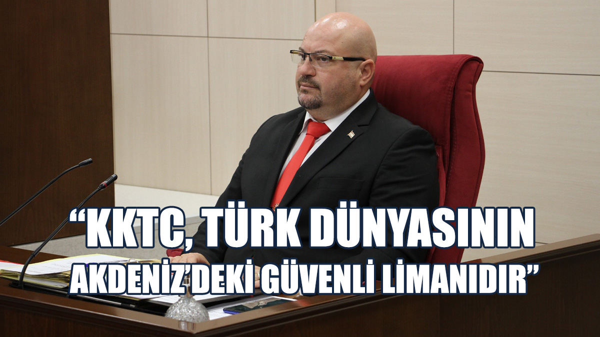 “Diğer Türk Devletleri İle İlişkilerimiz Hayati Öneme Haizdir”