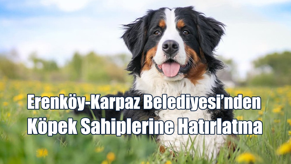 Erenköy-Karpaz Belediyesi’nden Köpek Sahiplerine Hatırlatma