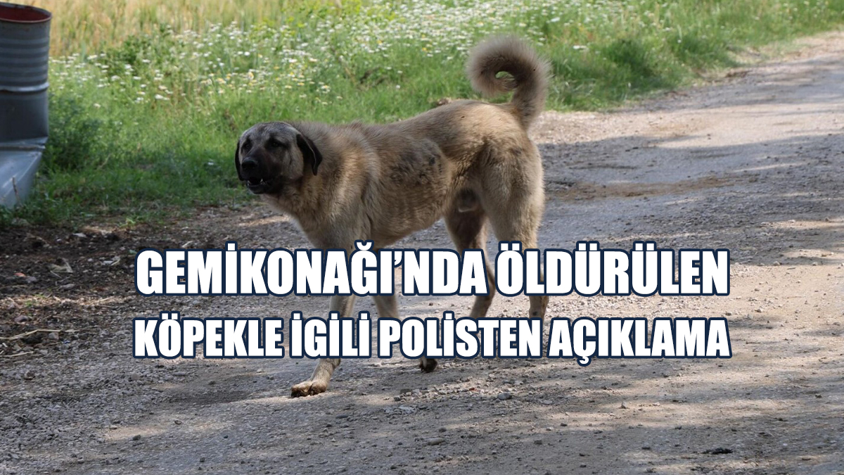 Soruşturmada 1 Kişi Tespit Edildi