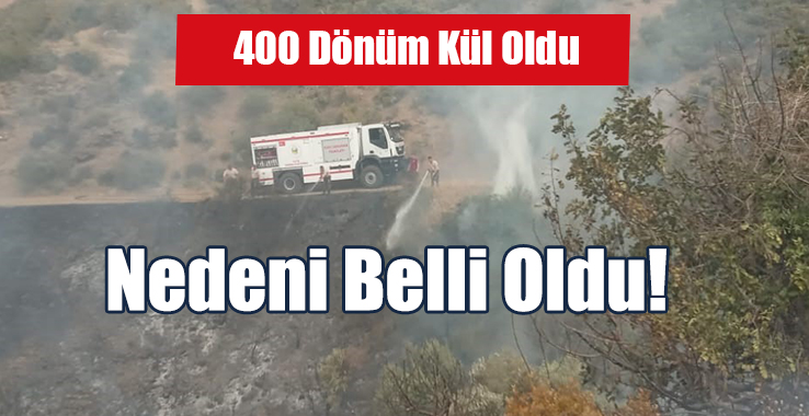 400 Dönüm Orman Kül Oldu: İşte Yangının Nedeni!