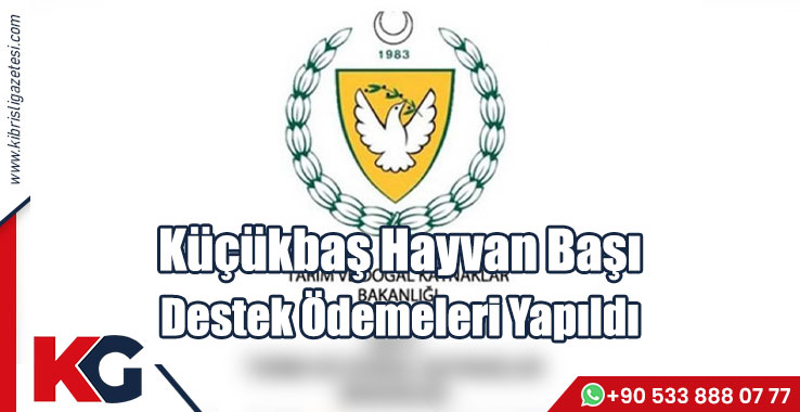 Küçükbaş Hayvan Başı Destek Ödemeleri Yapıldı