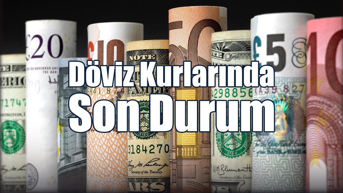 11 Ocak 2024 Perşembe Döviz Kurları