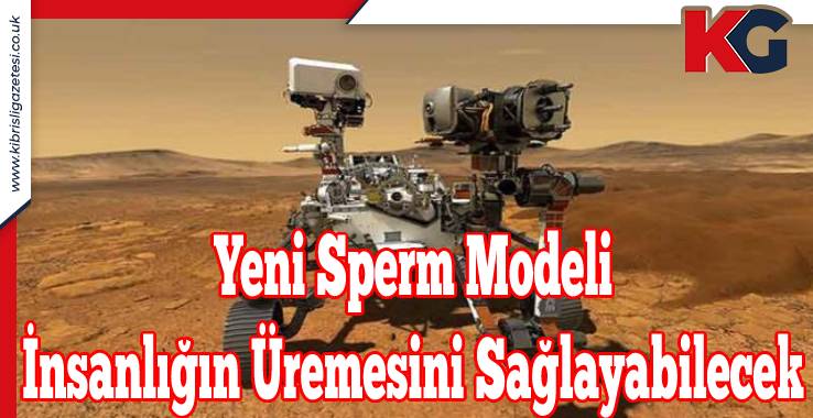 Yeni Sperm Modeli İnsanlığın Üremesini Sağlayabilecek