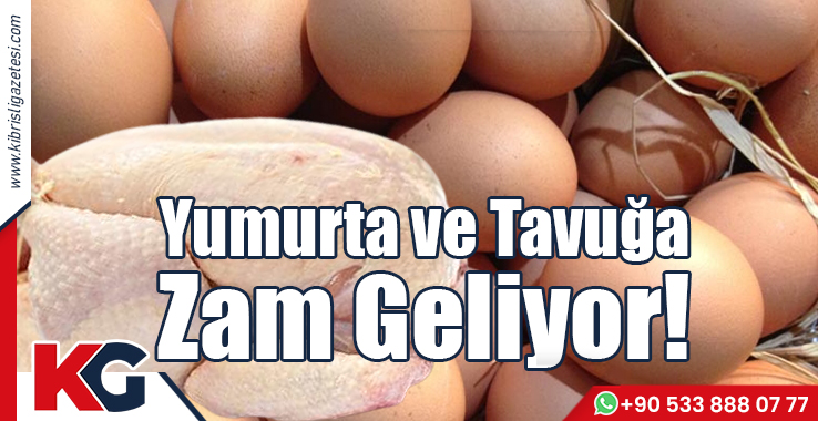 Yumurta ve Tavuğa Zam Geliyor!