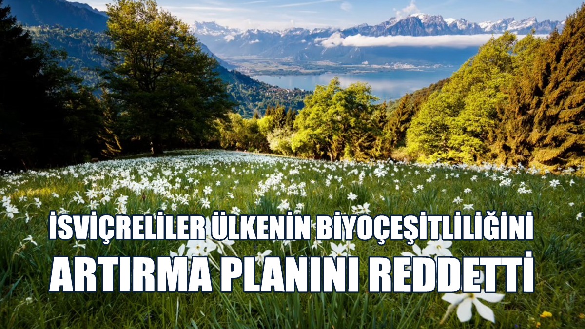 İsviçreliler Ülkenin Biyoçeşitliliğini Artırma Planını Reddetti