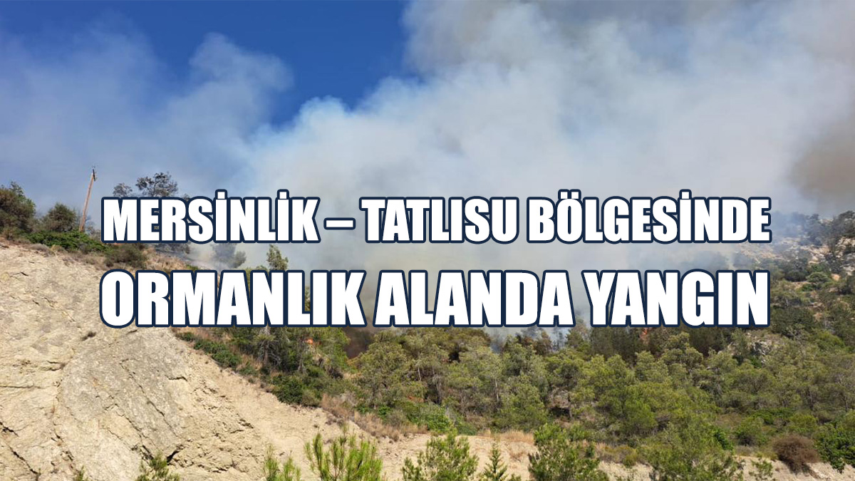 Yangın Söndürme Çalışmaları Sürüyor