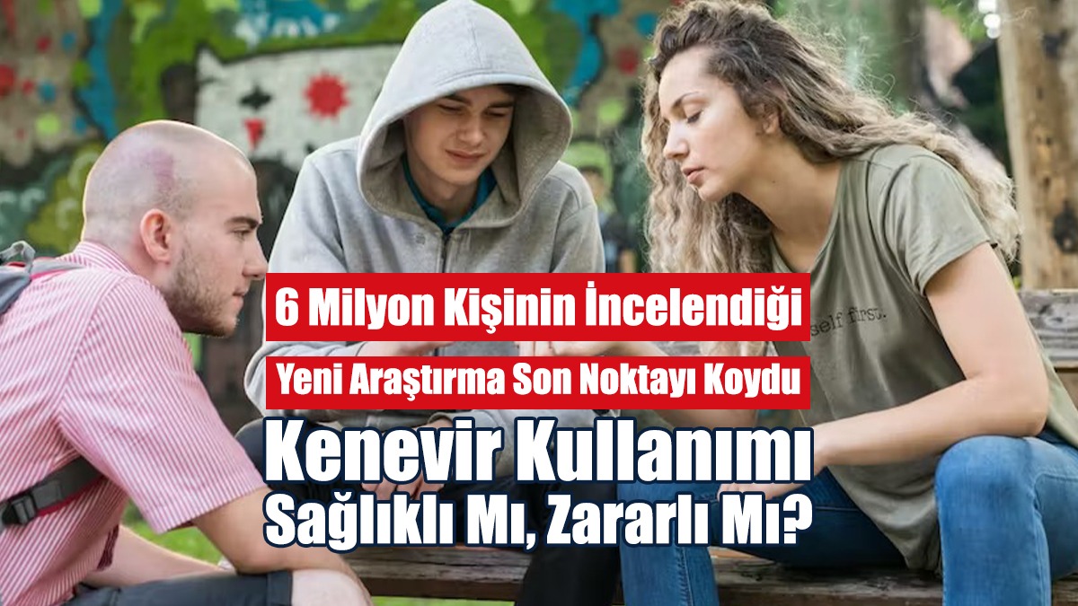 Kenevir Kullanımı Sağlıklı Mı, Zararlı Mı?