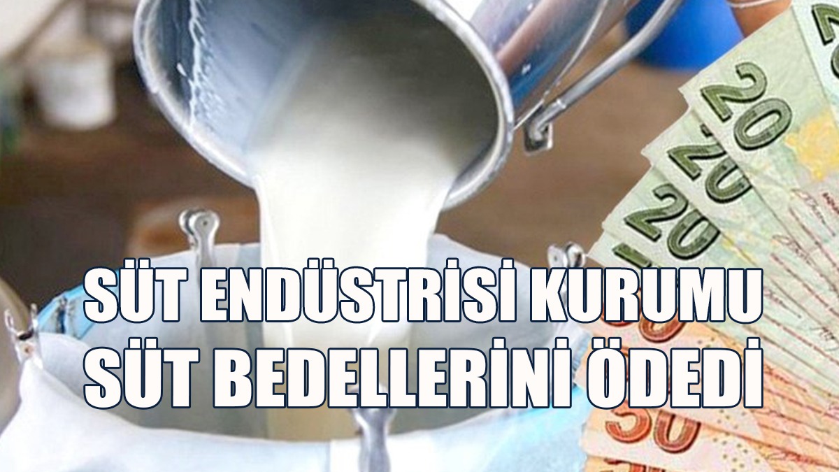SÜTEK Çiğ Süt Bedellerinin Bugün Ödendiğini Duyurdu