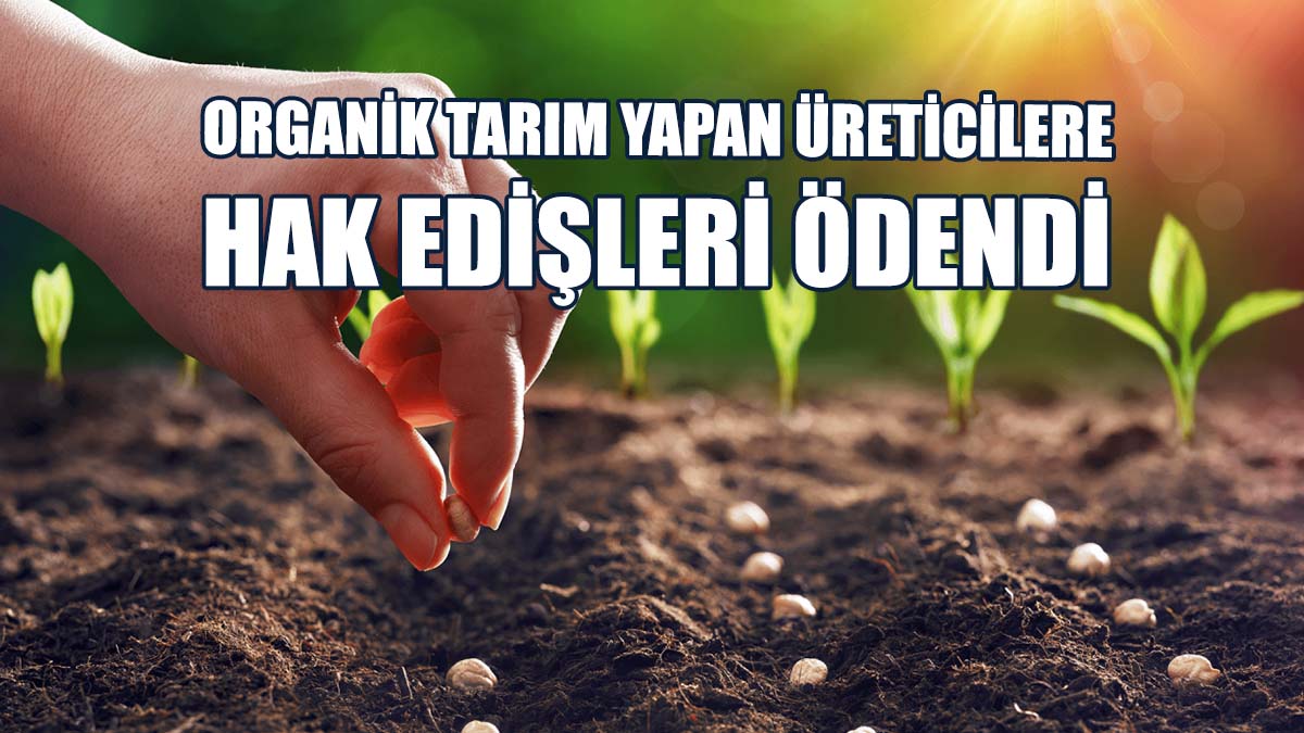 519 Bin 255 TL’lik Ödeme Yapıldı
